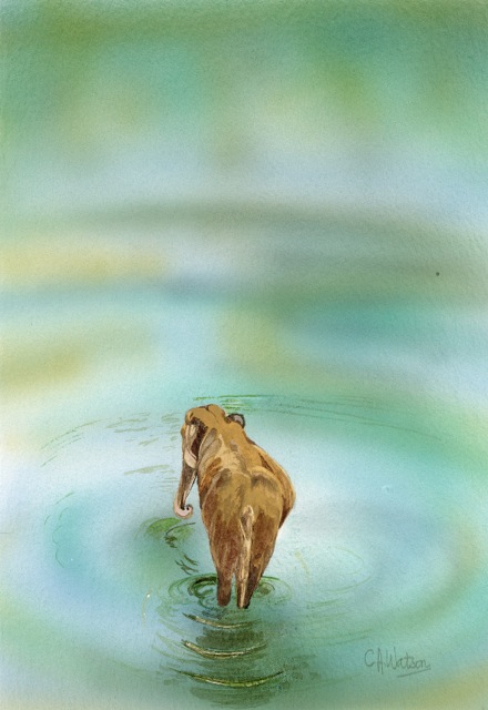 Christine Watson - Elephant
