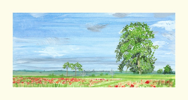 Christine Watson - Hint of poppies Burloes