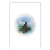 Notelets - NLFA070 Card Size: 105x148mm